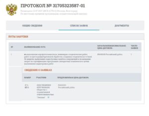 Как Штабу угрожало "Шоу китайских дронов" Геоскан photo_2021-05-10_16-07-18